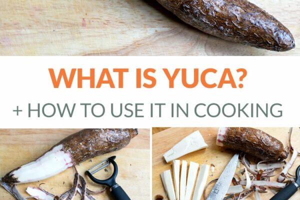 What Is Yuca (Cassava. Manioc)