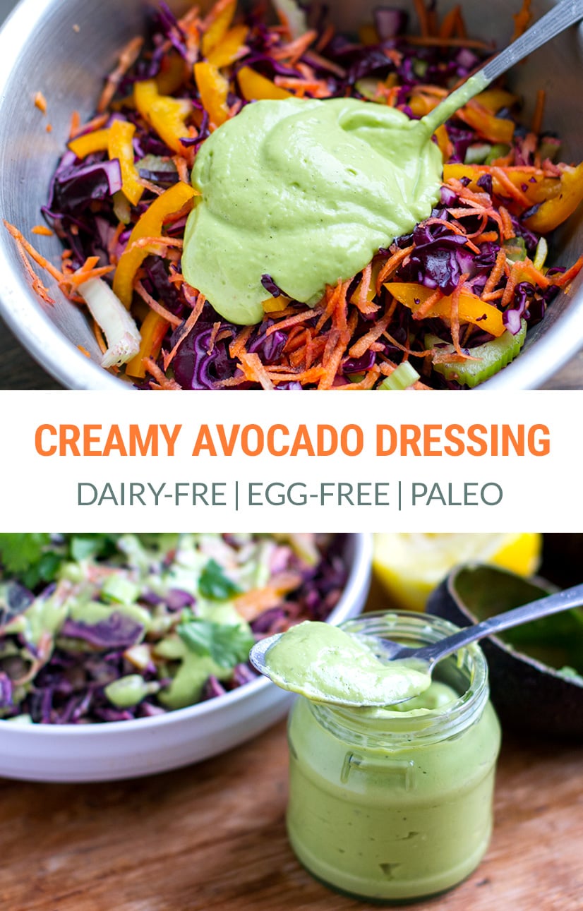 Creamy Avocado Dressing (Dairy-free, Egg-Free) | Paleo, Vegan, Keto
