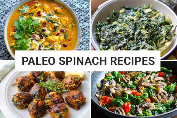 Paleo spinach recipes