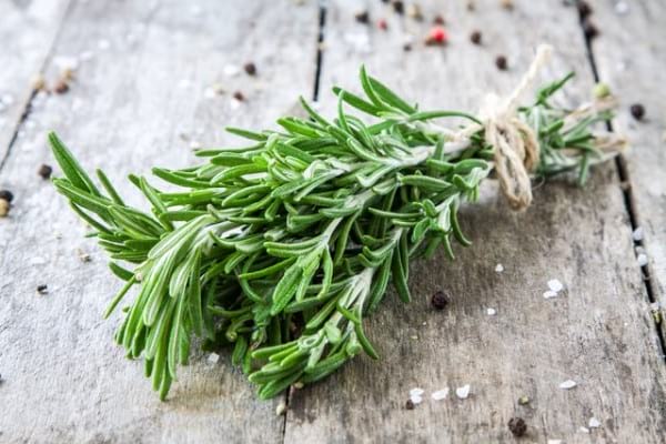Rosemary - Herbs & Spices With Most Benefits