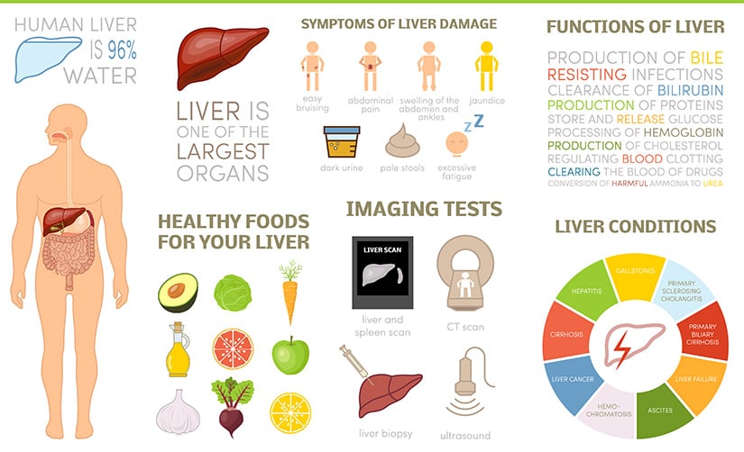 Healthy Liver Foods, Vitamins & Supplements