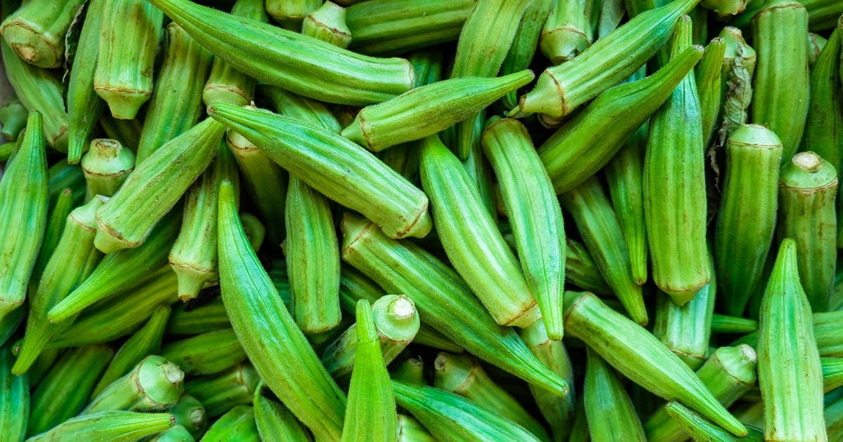 What Is Okra Vegetable